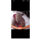 AnGi organic fashion felt 