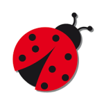 Ladybug