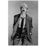 Blondiebowie
