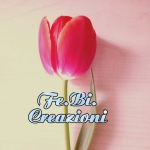 Febicreazioni
