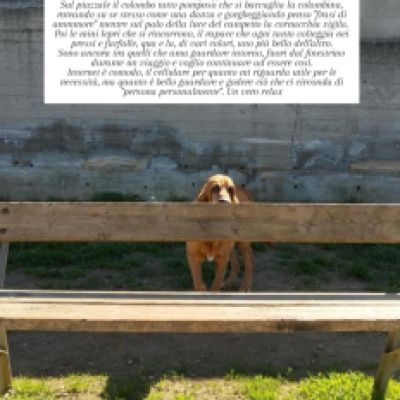 Novità