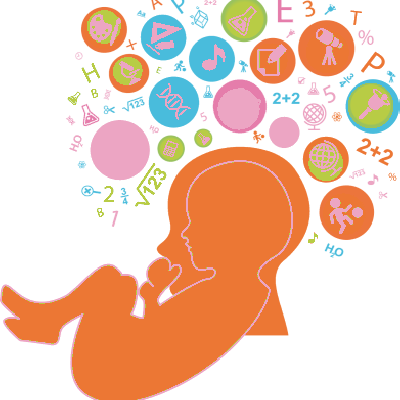 Eubrain