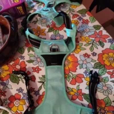 Pettorina ad H taglia XL